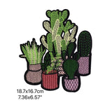 Cactus iron on patch Cactus patch