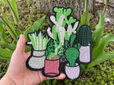 Cactus iron on patch Cactus patch