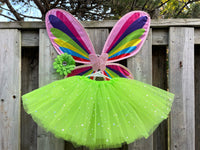 Fairy Tutu Dress Butterfly Tutu Dress