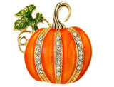 Pumpkin brooch Pumpkin pin thanksgiving brooch thanksgiving pin fall brooch
